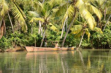 Poovar, Backwater Cruise,_DSC_8699_H600